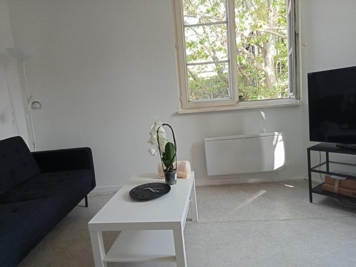 Au Coeur De La Petite France Apartman Strasbourg Kültér fotó