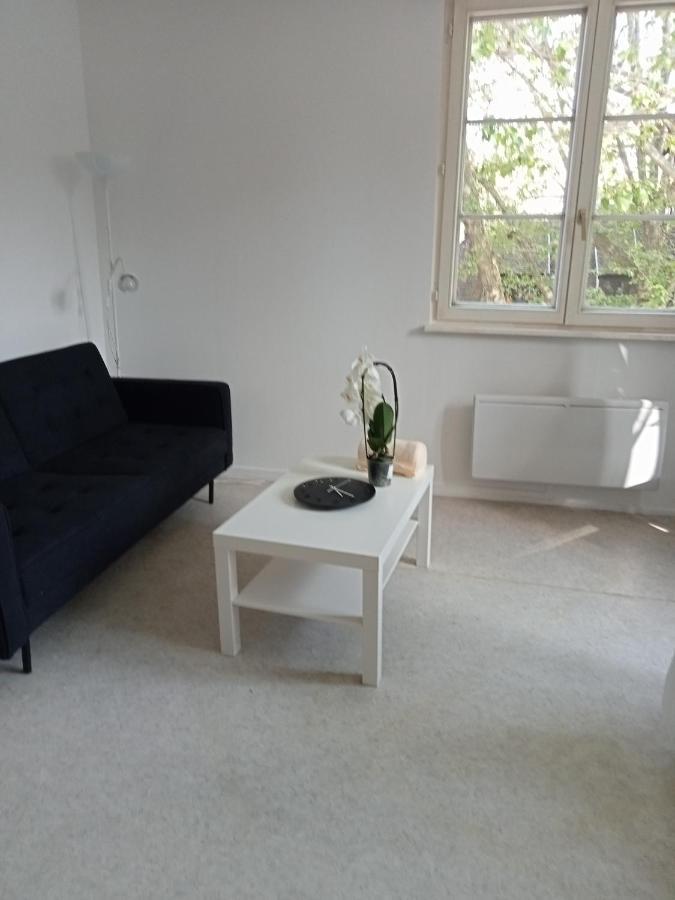 Au Coeur De La Petite France Apartman Strasbourg Kültér fotó